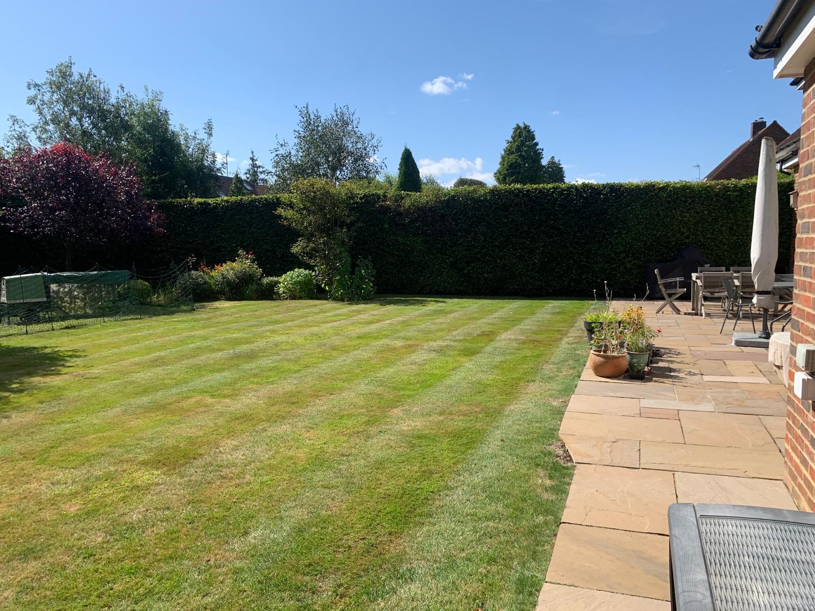 A brand-new lawn, laid and thriving